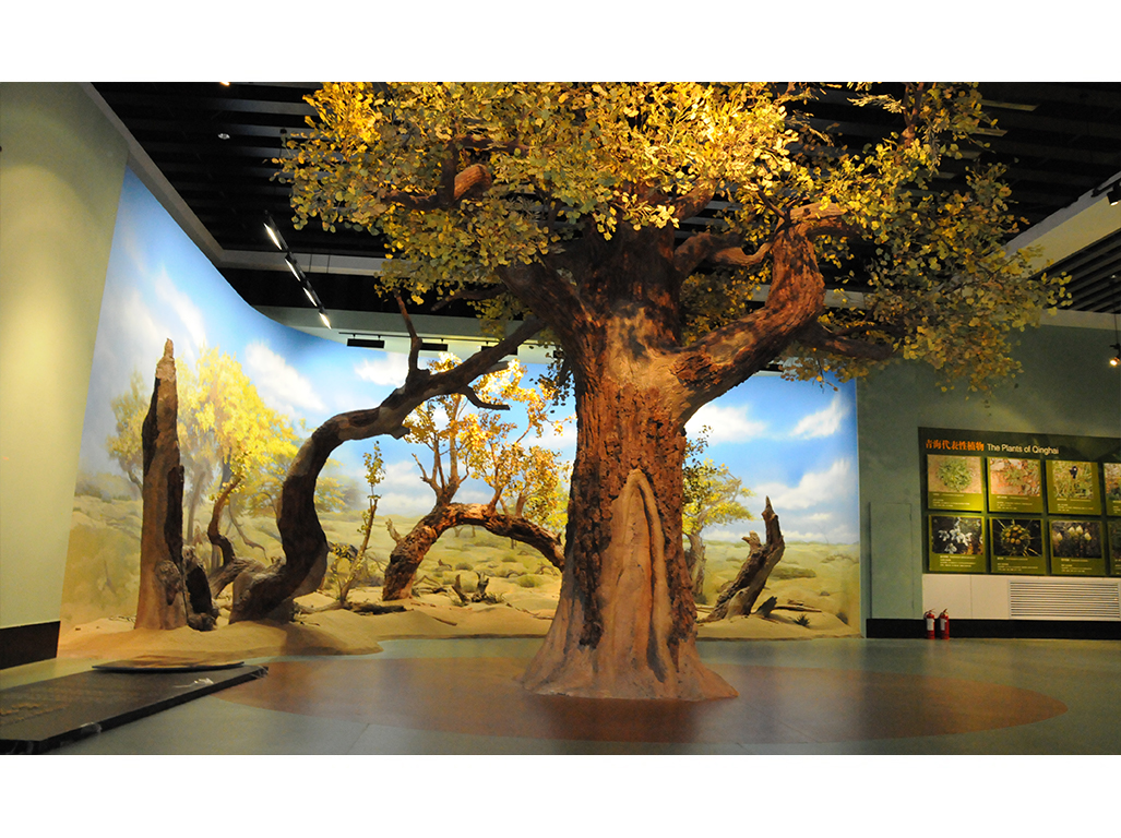 青藏高原自然博物馆场景复原